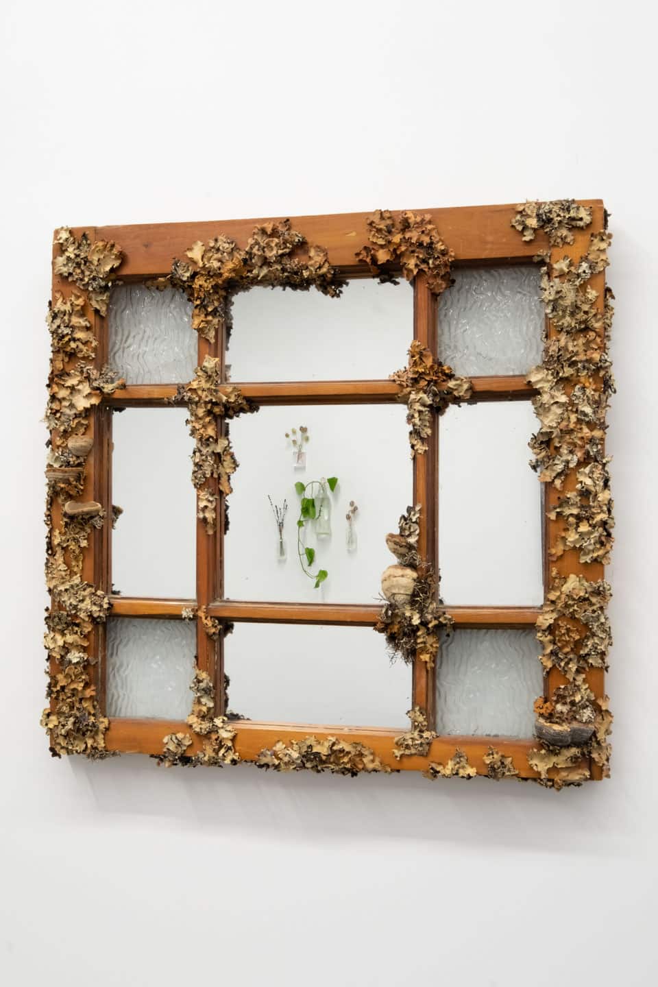 Peculiar Movements/Green Junctions at NAMARA projects